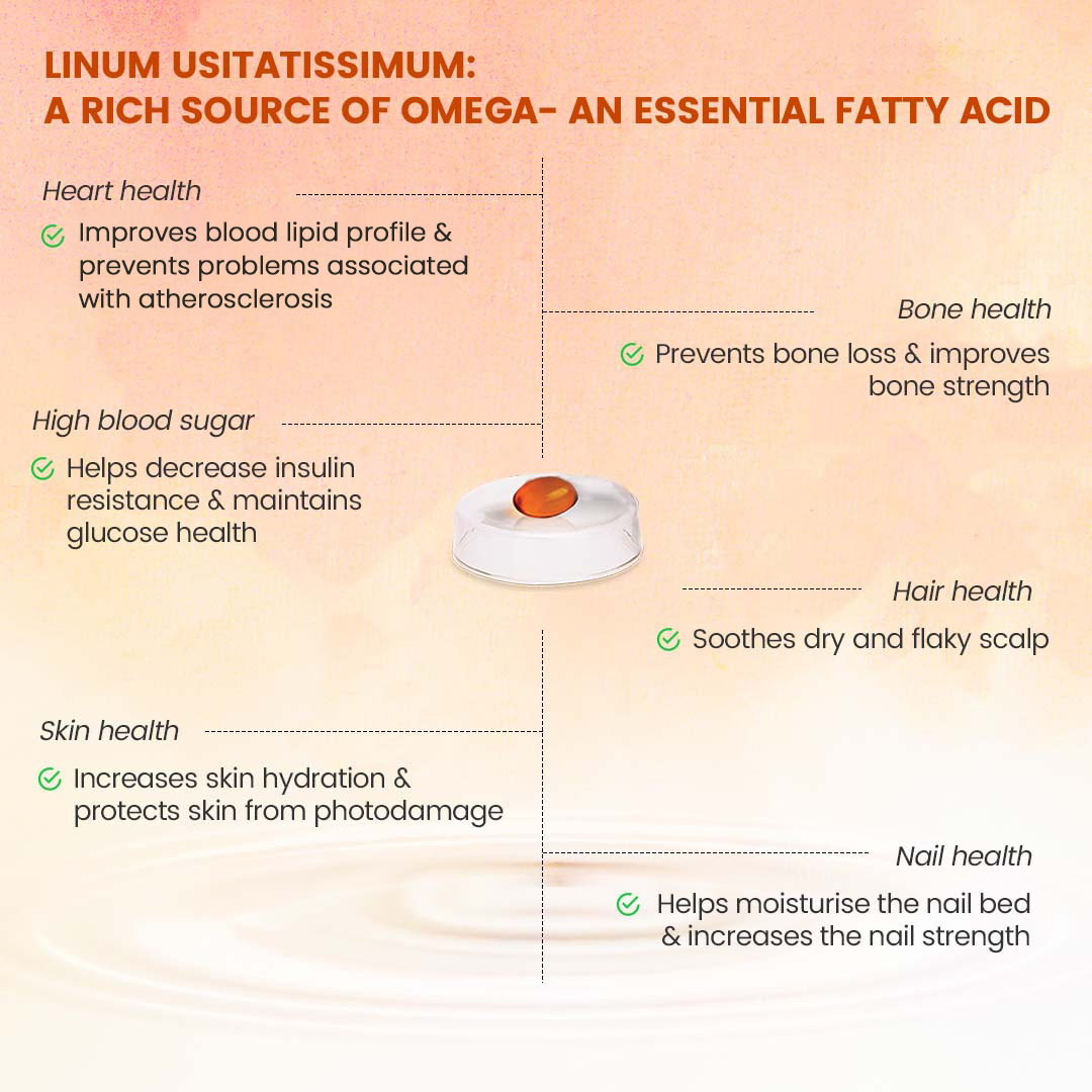 Nutricharge Veg Omega Product Info 100810152628